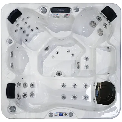Avalon EC-849L hot tubs for sale in Greenlawn